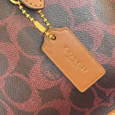Coach Bag — 6