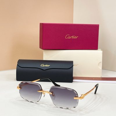 Cartier sunglasses — 3