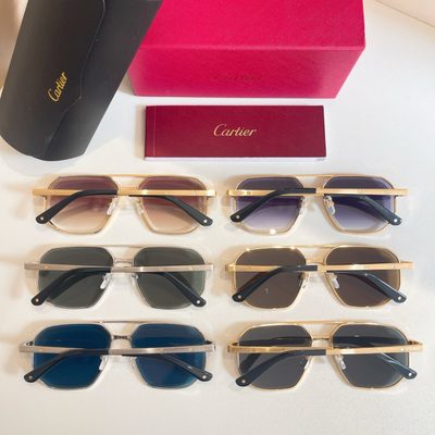 Cartier Sunglasses — 8