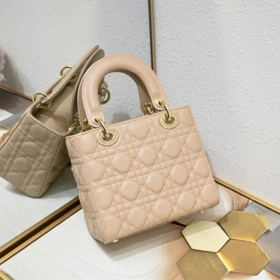 Dior Bag — 5