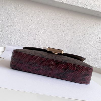Coach Bag — 11