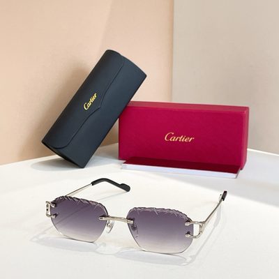 Cartier Sunglasses — 4