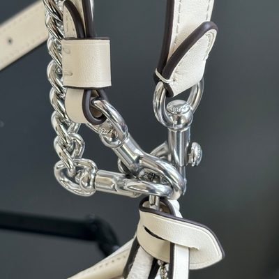 Coach Bag — 6