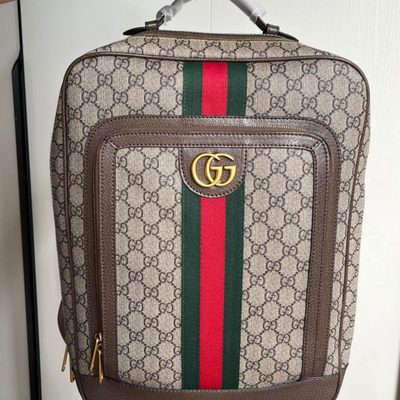 Gucci Bag — 8