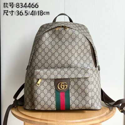 Gucci Bag