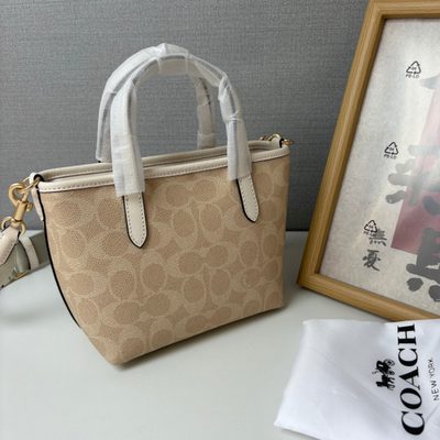 Coach Bag — 5