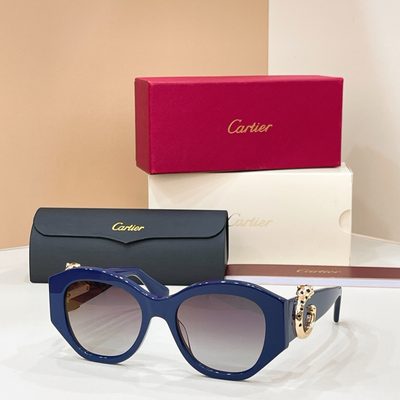 Cartier Sunglasses — 3