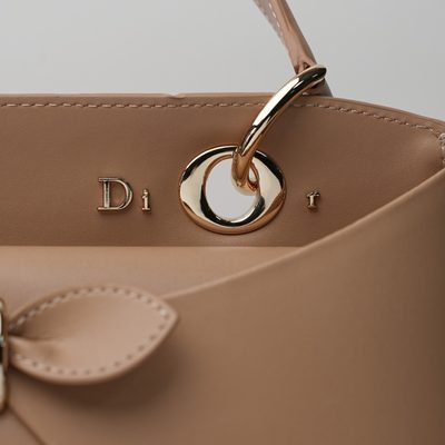Dior Bag — 4