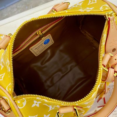 Louis Vuitton Bag — 9