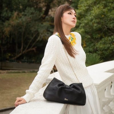 Dior Bag — 5