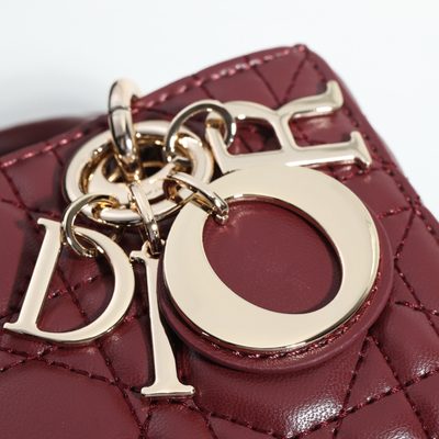 Dior Bag — 5