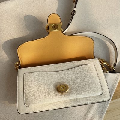 Coach Bag — 33