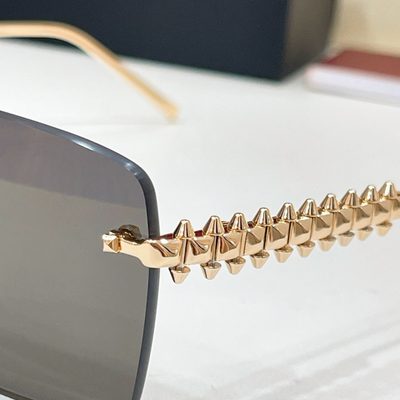 Cartier Sunglasses — 8