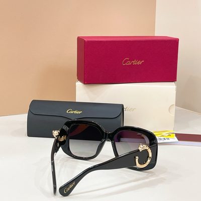 Cartier Sunglasses — 4