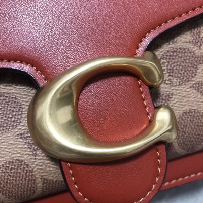 Coach Bag — 3