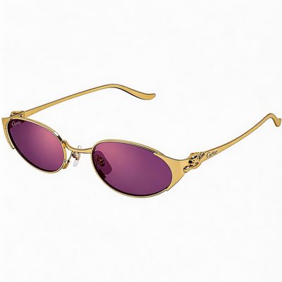 Cartier Sunglasses — 8