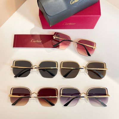 Cartier Sunglasses — 8