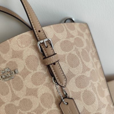 Coach Bag — 6