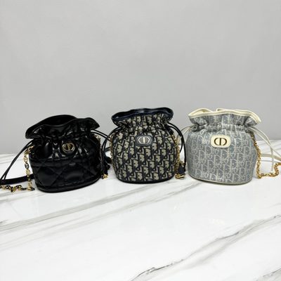 Dior Bag — 9