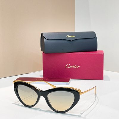 Cartier Sunglasses — 5