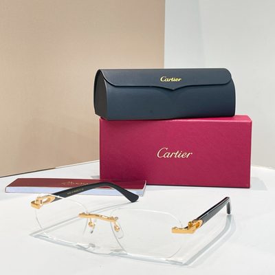 Cartier Sunglasses — 6