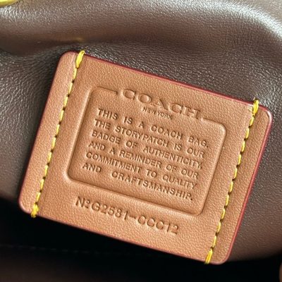 Coach Bag — 9