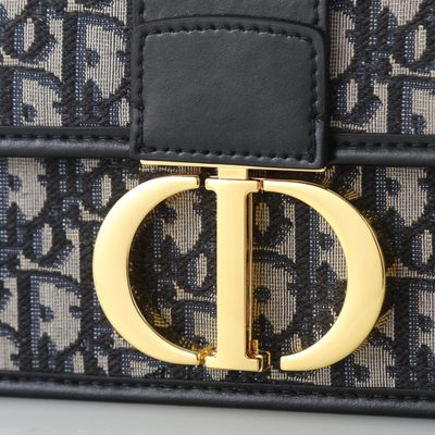 Dior Bag — 6
