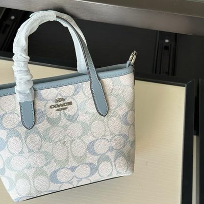 Coach Bag — 7