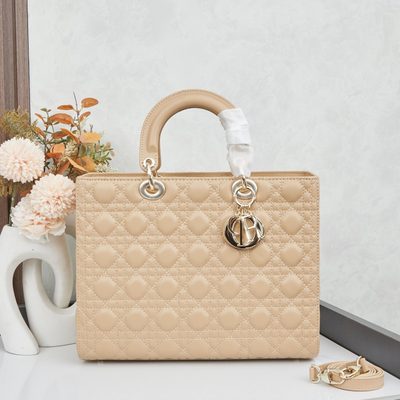Dior Bag