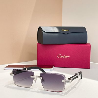 Cartier Sunglasses — 8