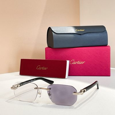 Cartier Sunglasses — 4