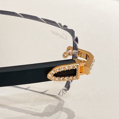 Cartier Sunglasses — 9