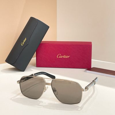 Cartier Sunglasses — 5