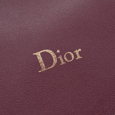 Dior Bag — 5