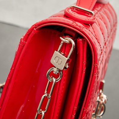 Dior Bag — 6