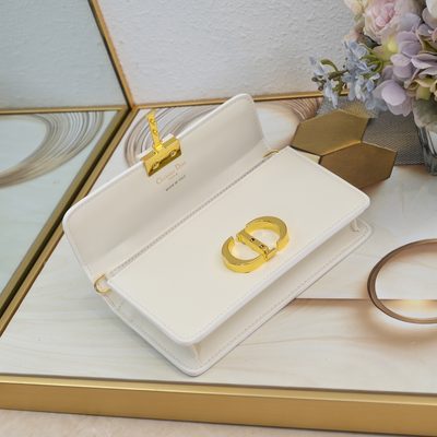 Dior Bag — 7