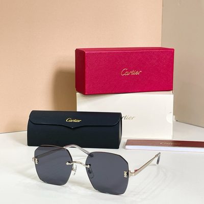 Cartier Sunglasses — 6