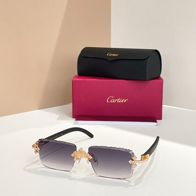 Cartier Sunglasses — 5