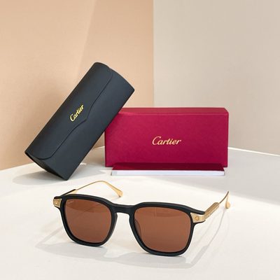 Cartier Sunglasses — 4