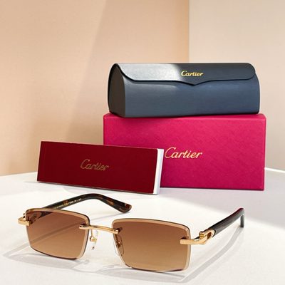 Cartier Sunglasses — 4
