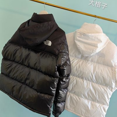 The North Face 1996 Retro Nuptse Puffer Jacket — 5