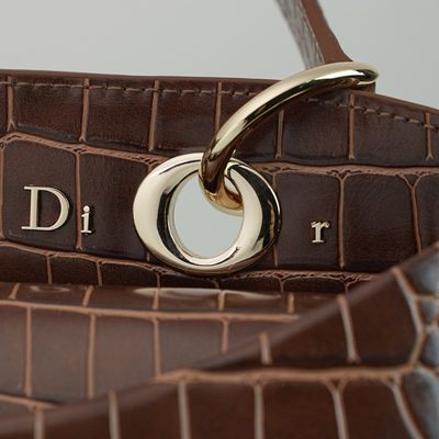 Dior Bag — 5