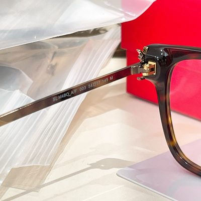 YSL Sunglasses — 6