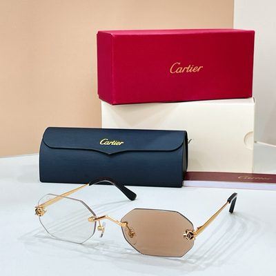 Cartier Sunglasses — 6