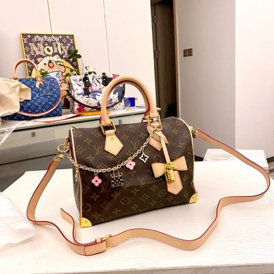 Louis Vuitton Bag — 4