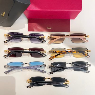 Cartier Sunglasses — 8