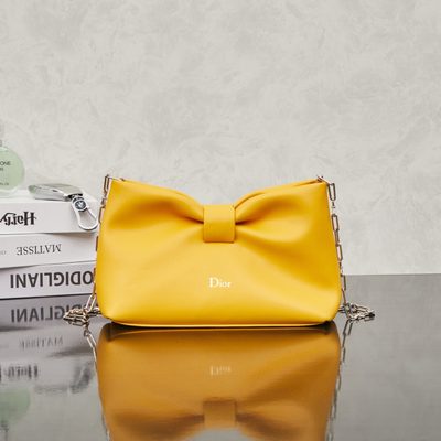 Dior Bag