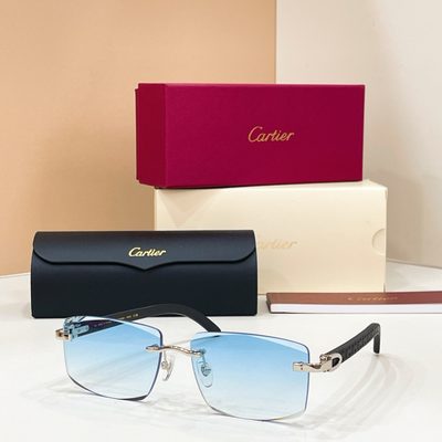 Cartier sunglasses — 7