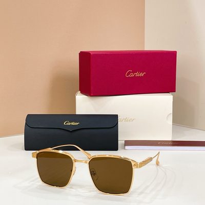 Cartier Sunglasses — 3