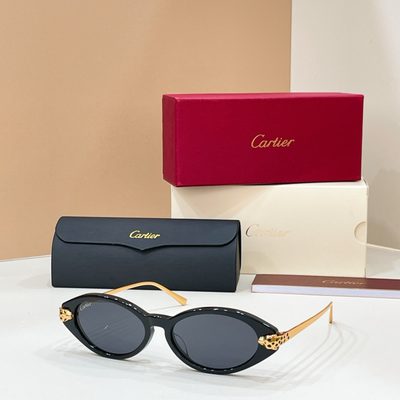 Cartier Sunglasses — 3